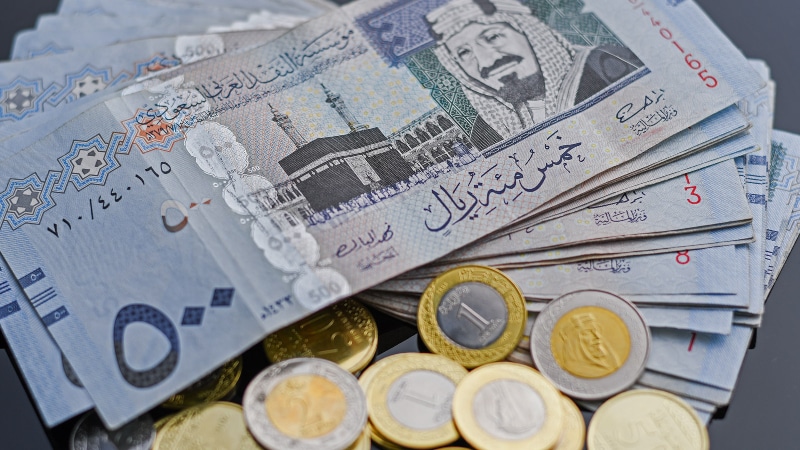 ماهي الشركات التي توزع أرباح في السوق السعودي؟
